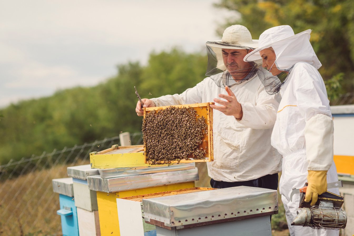 Beekeeping